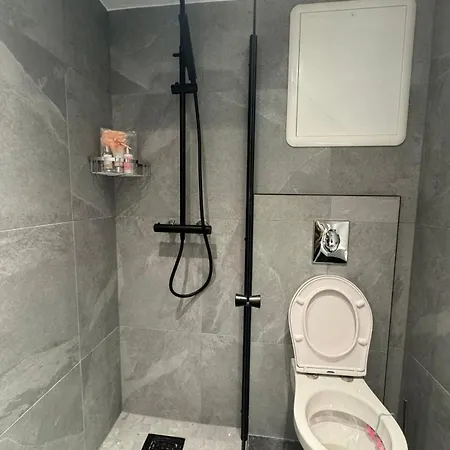 Newly Renovated 2-room Bergen